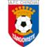 辛迪泰哥维斯特